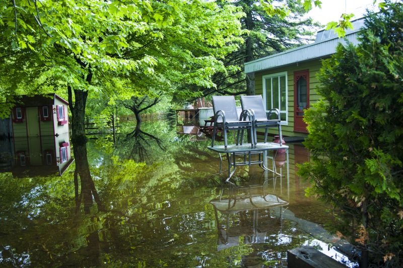 Increase Your Land Clearing Business with an AI Driven, Targeted Website