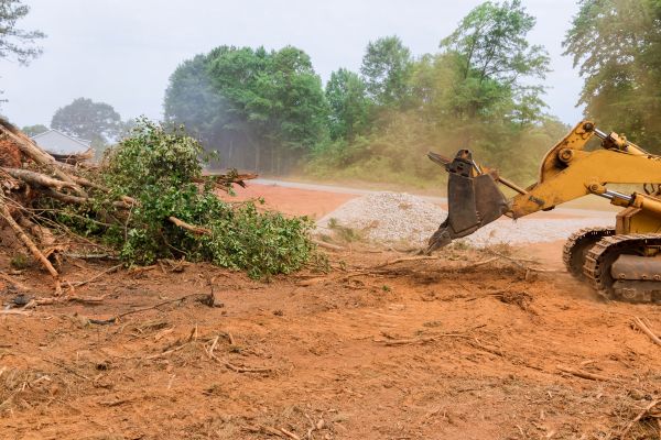 Ground Clearing in Morrisville