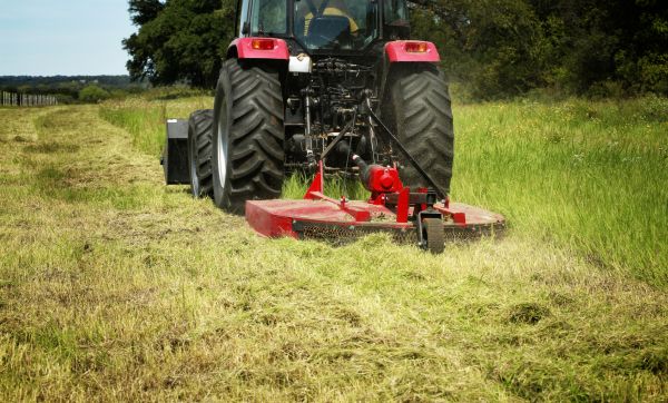 Brush Clearing Service in Morrisville