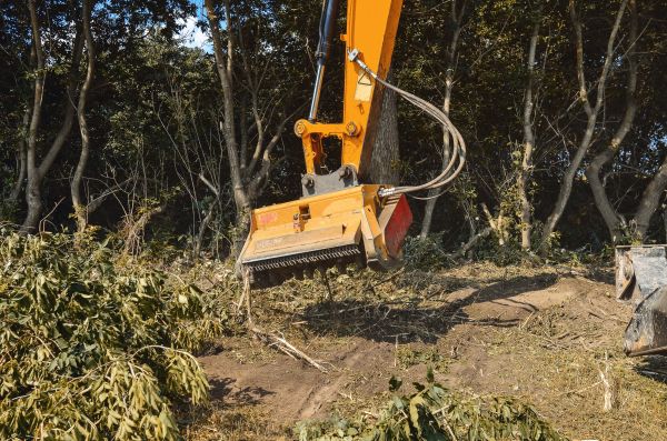 Brush Removal Service in Morrisville