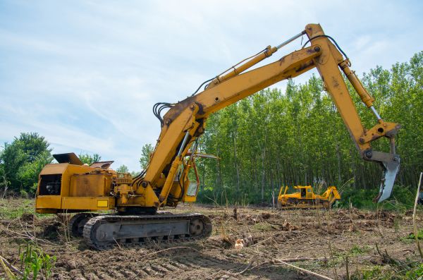 Cost of Farm Clearing in Morrisville