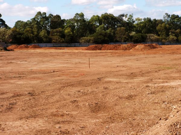 Cost of Field Clearing in Morrisville