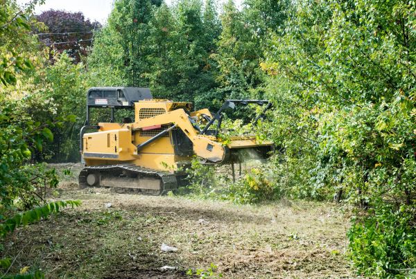 Cost of Pathway Clearing in Morrisville