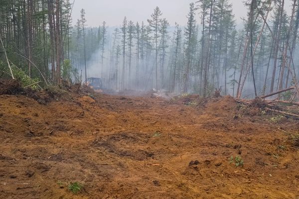 Cost of Hill Clearing in Morrisville