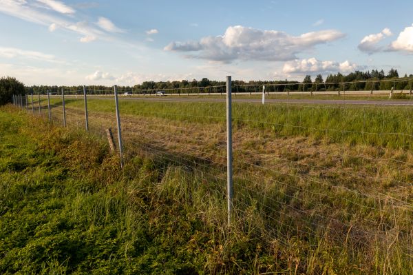 Cost of Property Line Clearing in Morrisville