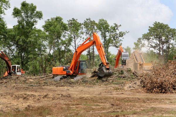 Cost of Commercial Lot Clearing in Morrisville