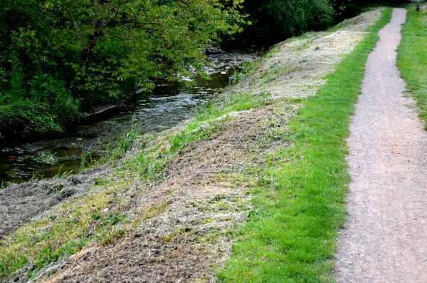 Cost of Trail Cutting in Morrisville