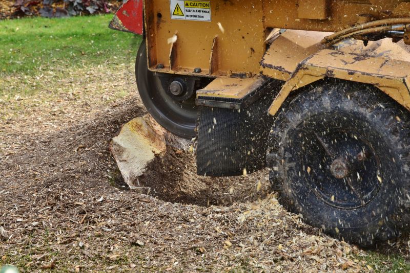 Stump Grinding Techniques